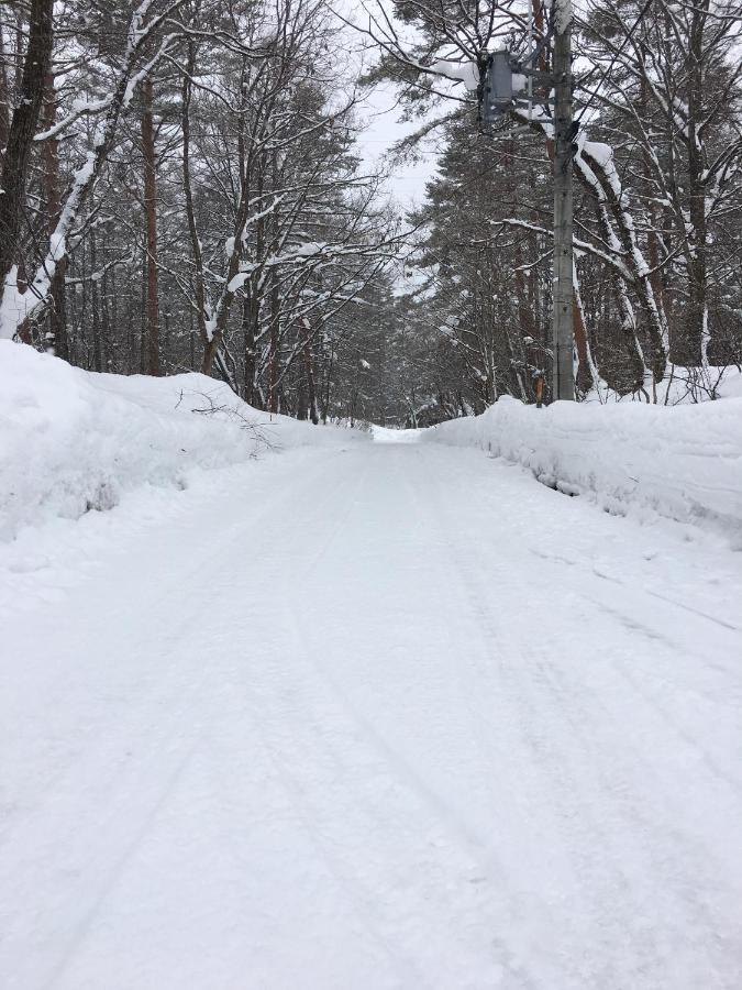 Haus Yuki Villa Hakuba Eksteriør billede